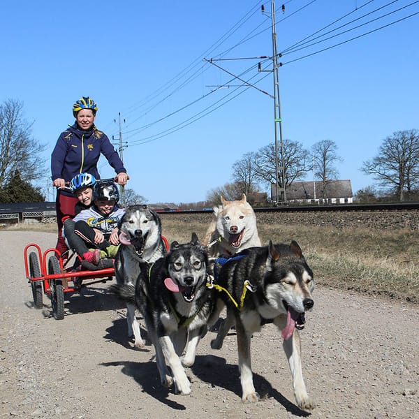ALLTID NÖJDA BILÄGARE