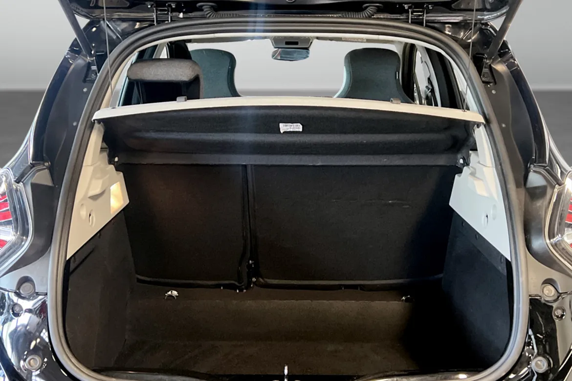 Renault ZOE R110