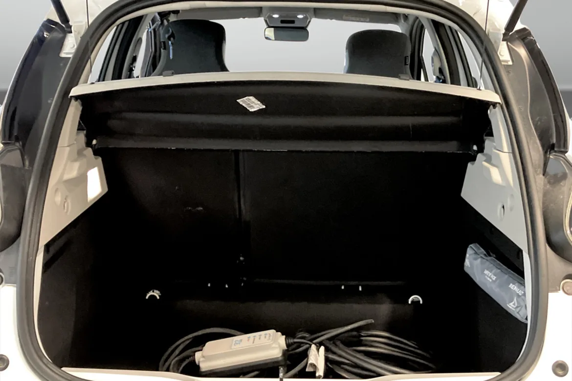 Renault ZOE R110
