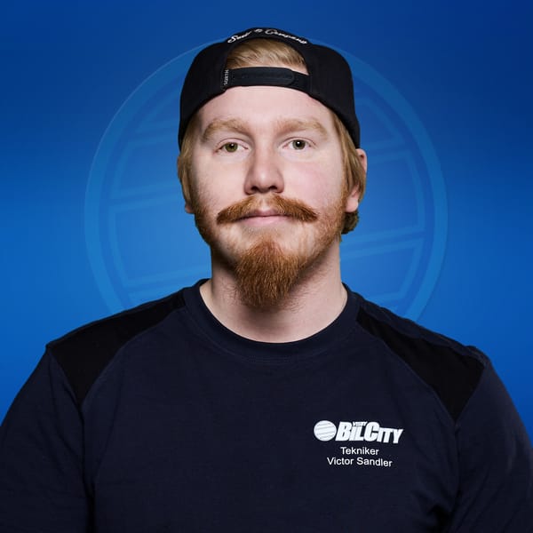 Victor Sandler Tekniker 