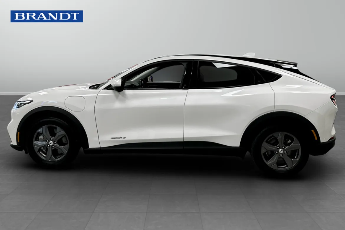 Ford Mustang Mach-E Standard Range