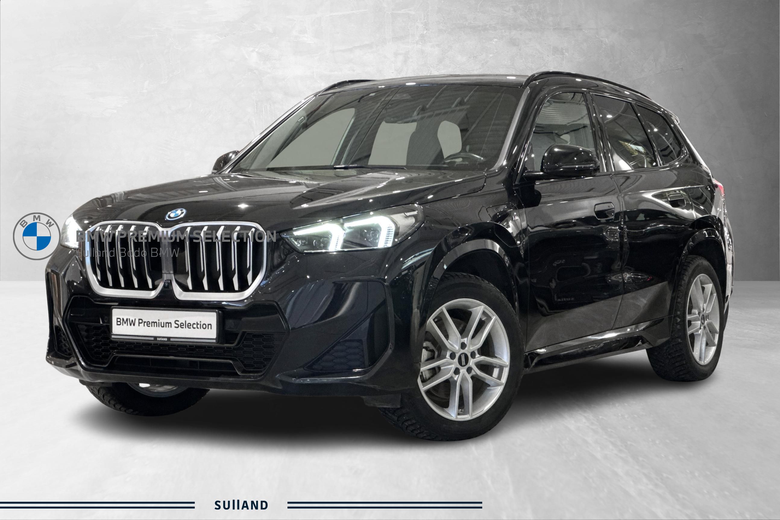 BMW X1 xDrive25e
