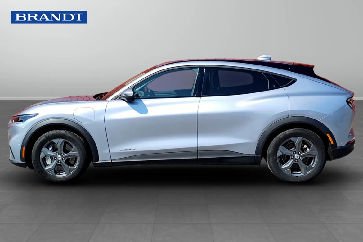 Ford Mustang Mach-E Standard Range