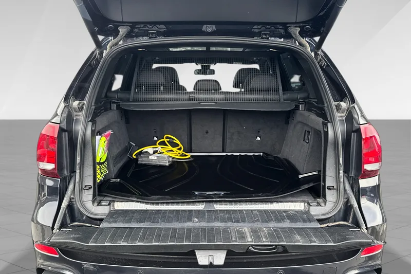 BMW X5 xDrive40e bilde 13