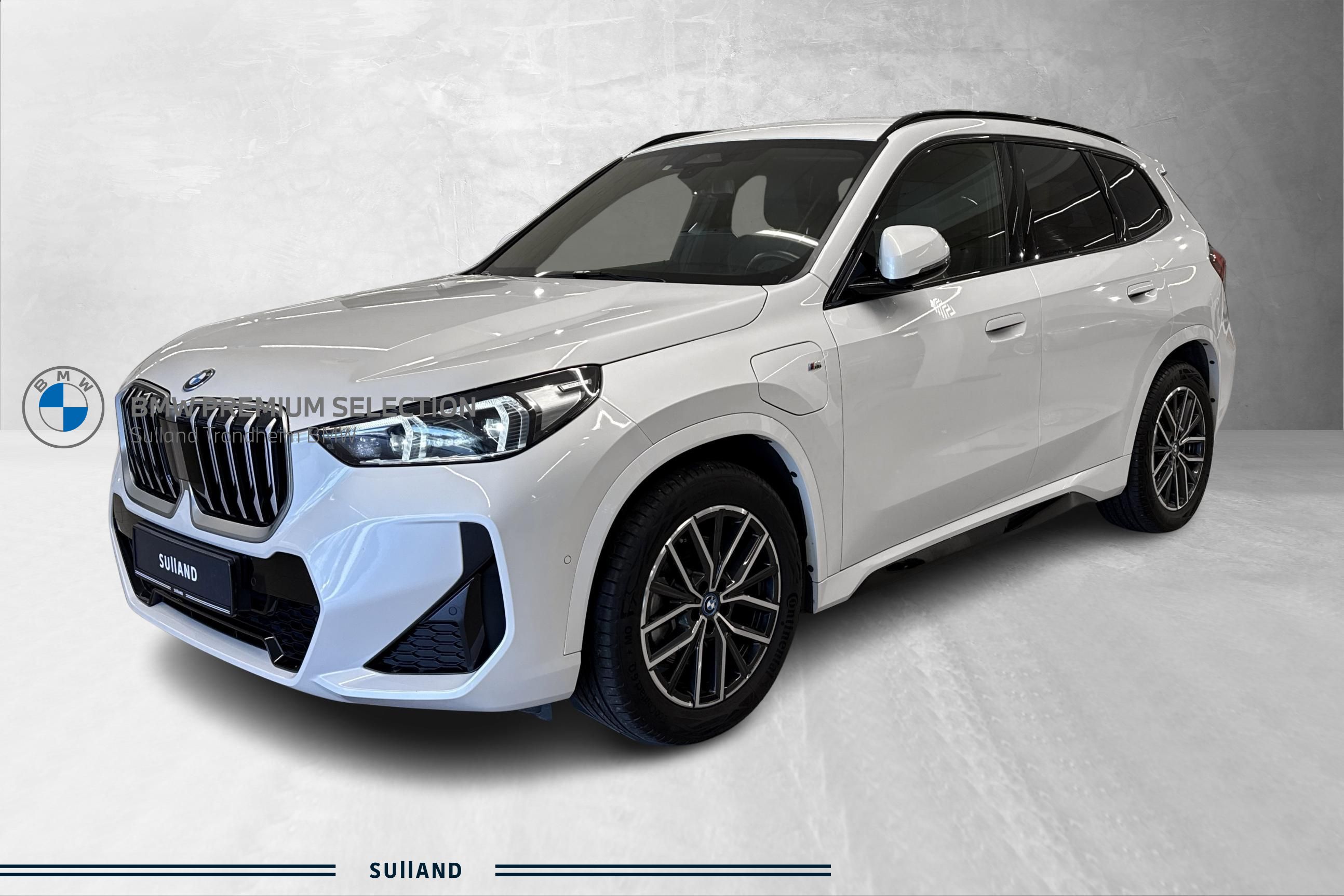 BMW X1 xDrive25e