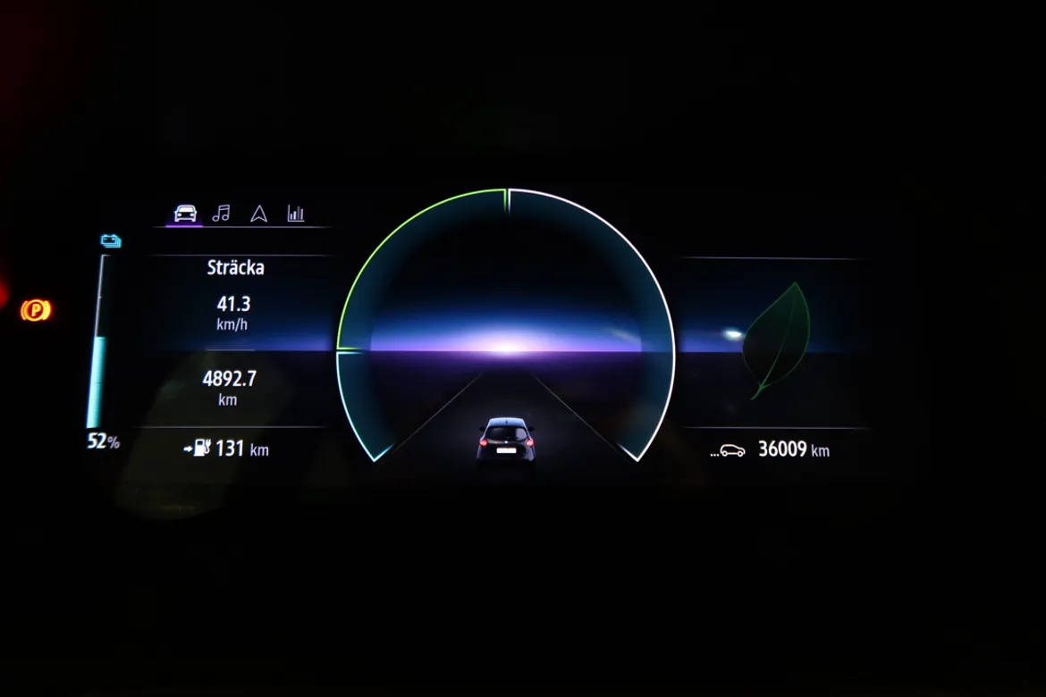 Renault ZOE R110
