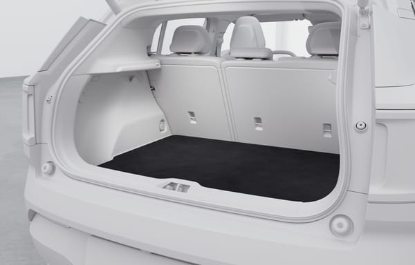 Bagagerumsmatta, EX30