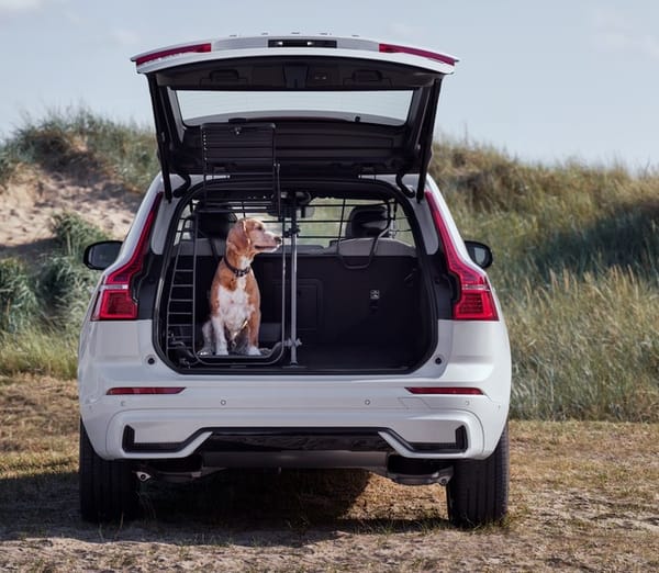 Komplett hundbur höger, XC60