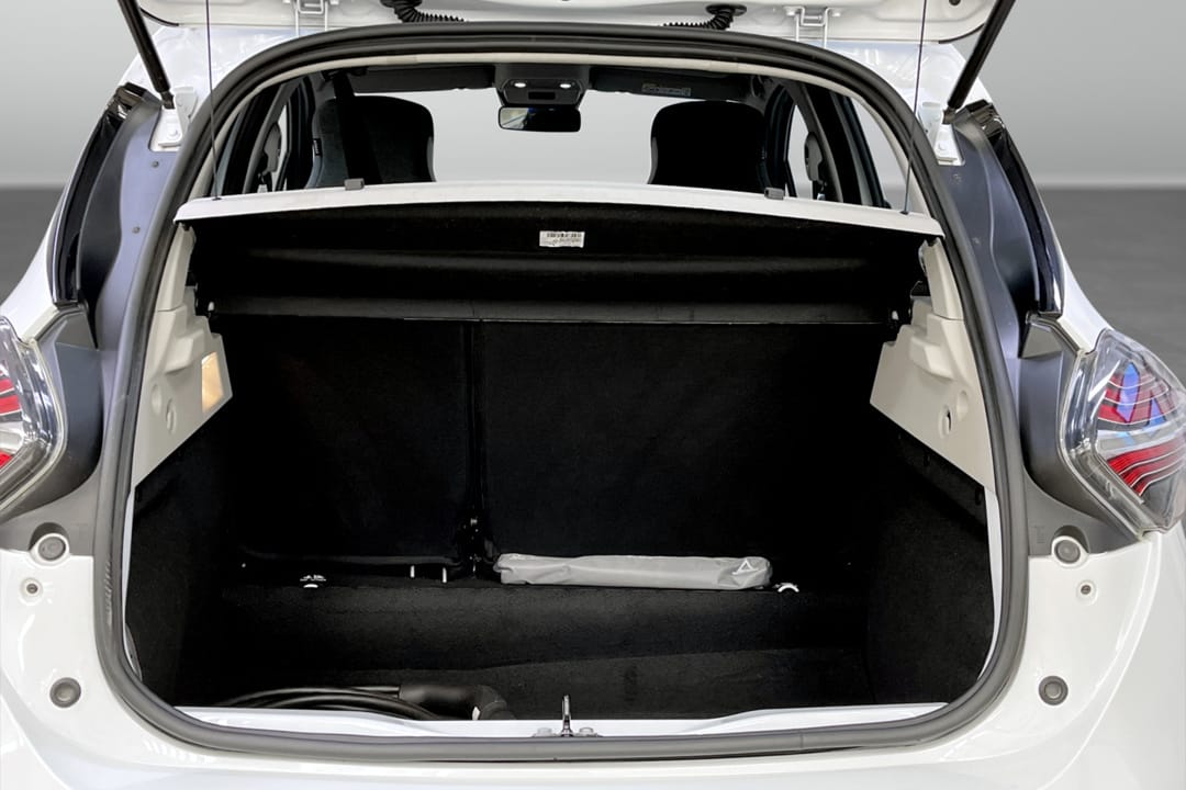Renault ZOE R110