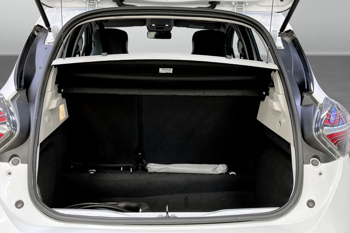 Renault ZOE R110