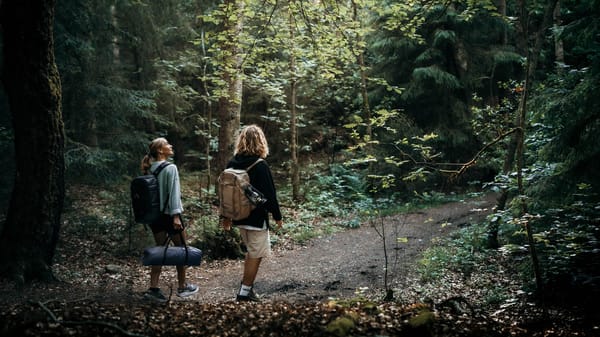 Hållbarhetsmål nr 4