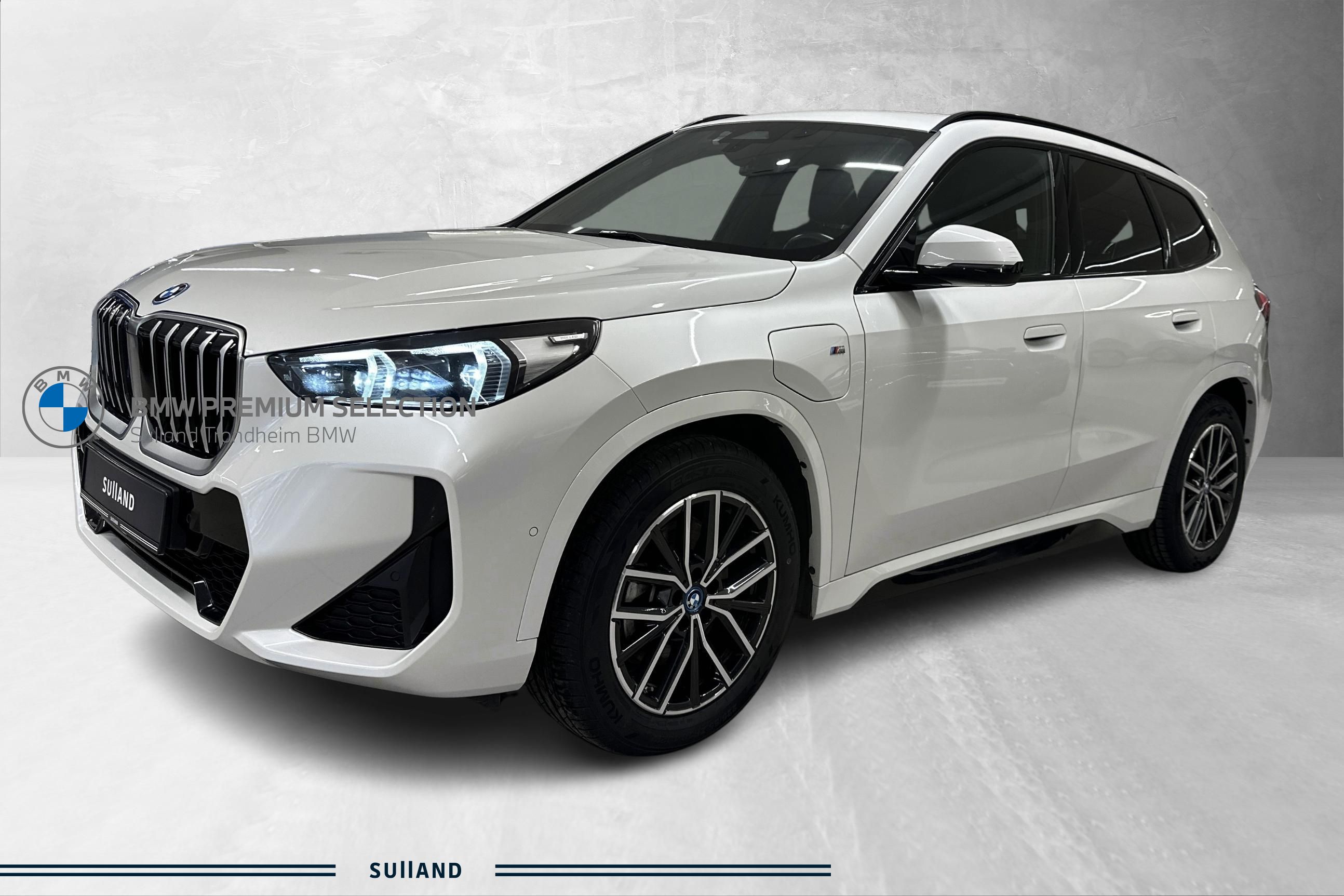 BMW X1 xDrive25e
