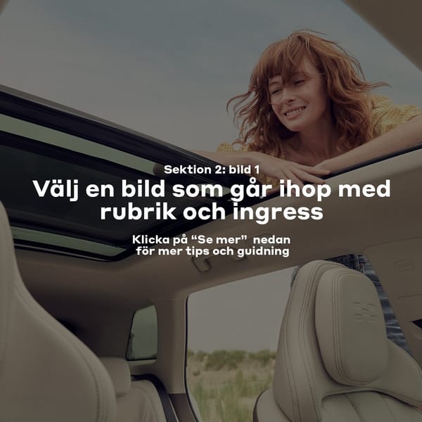 Sektion 2: Rubrik 1 (max 6 ord)