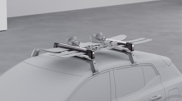 Utdragbar skidhållare