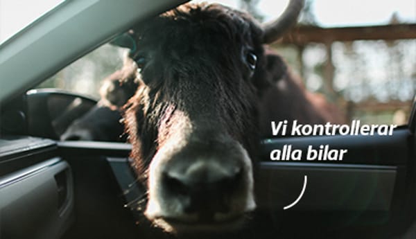 Noga kontrollerade bilar