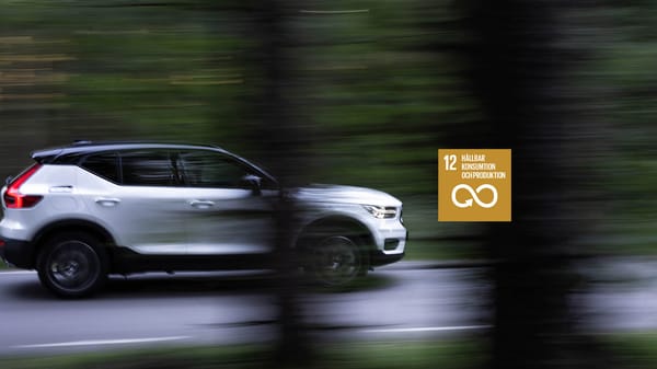 Hållbarhetsmål nr 12