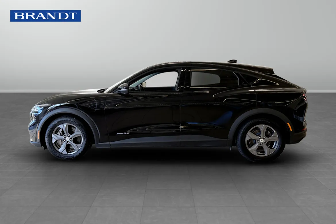 Ford Mustang Mach-E Standard Range