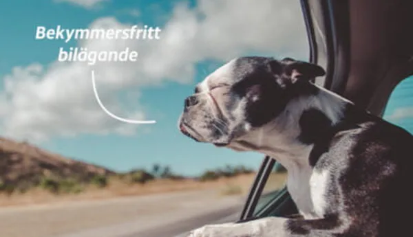 Garantier som gör det gött att köpa begagnad bil