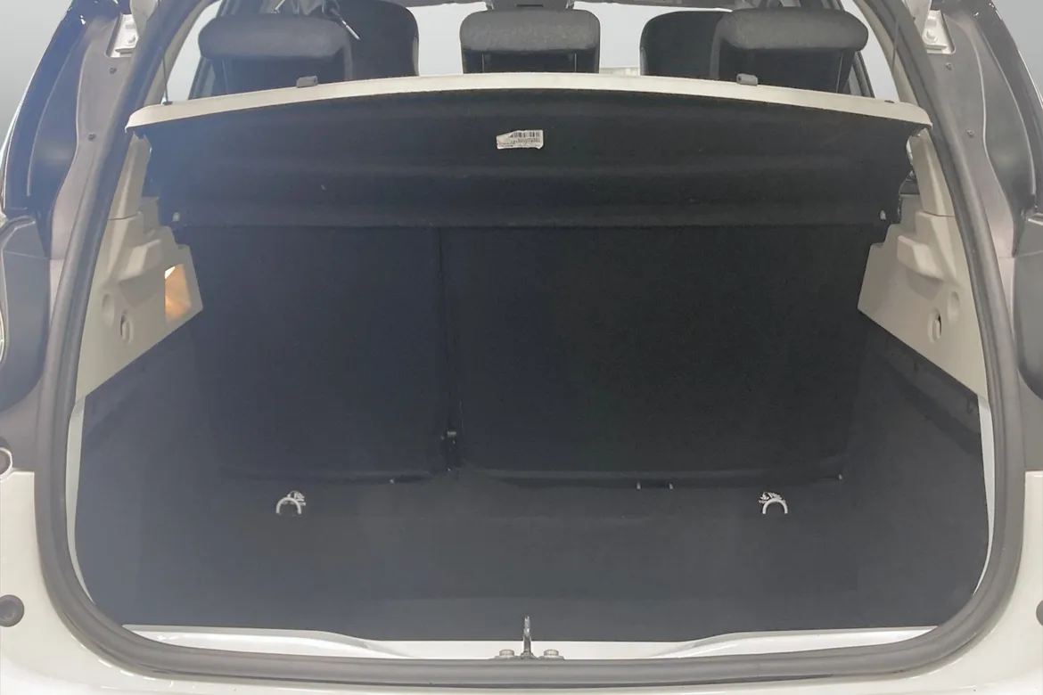 Renault ZOE R110