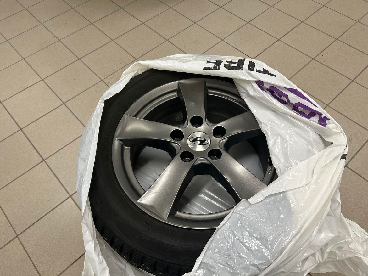 19 / 19