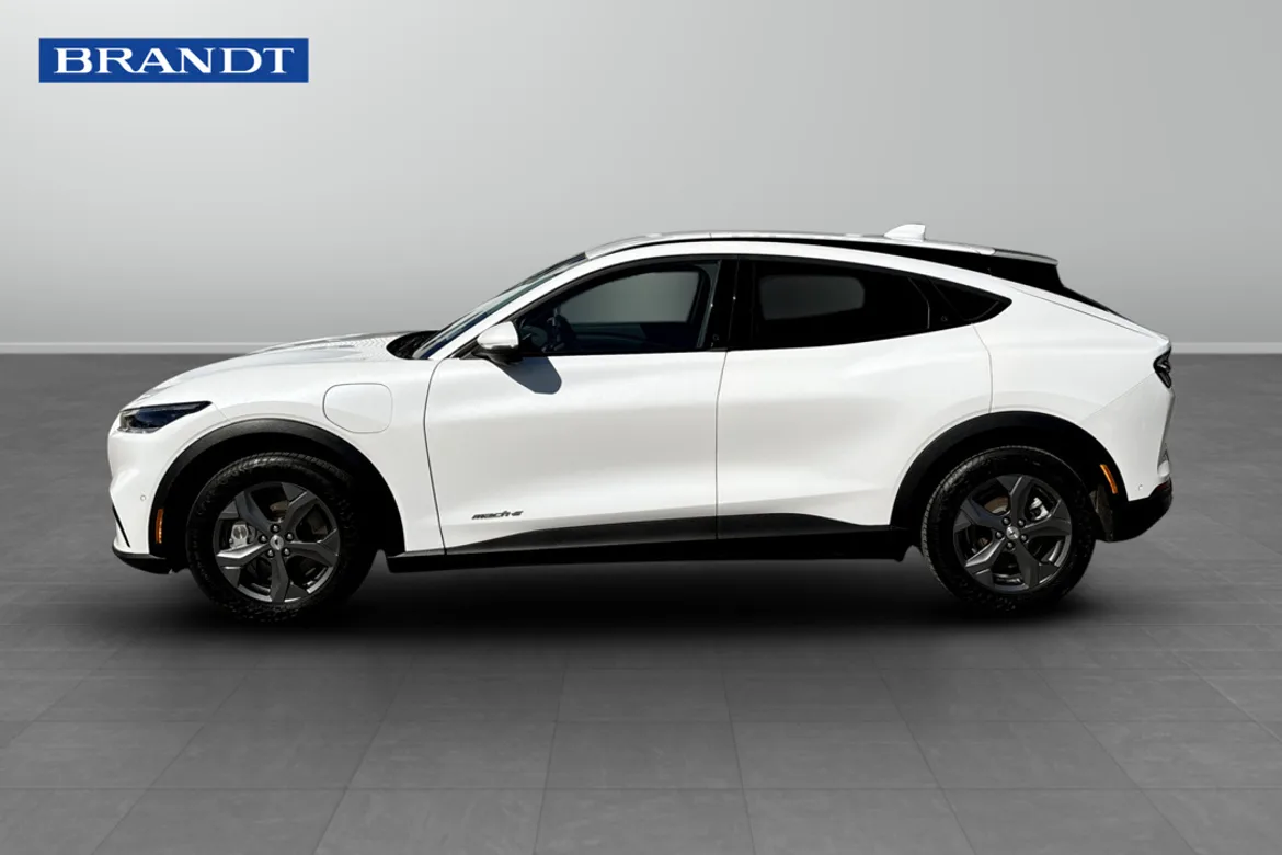 Ford Mustang Mach-E Standard Range