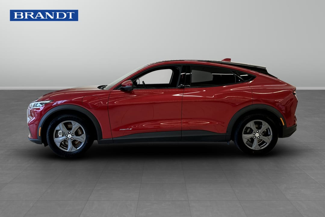 Ford Mustang Mach-E Standard Range