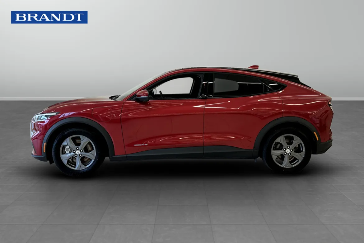 Ford Mustang Mach-E Standard Range