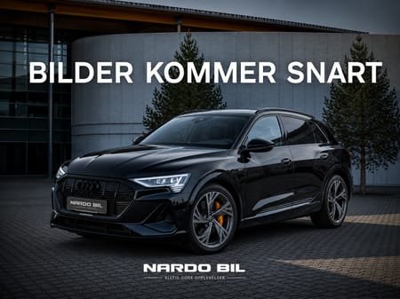 Audi e-tron 55 quattro S-line/B&O/Krok/360/Matrix