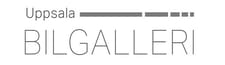 Uppsala Bilgalleri