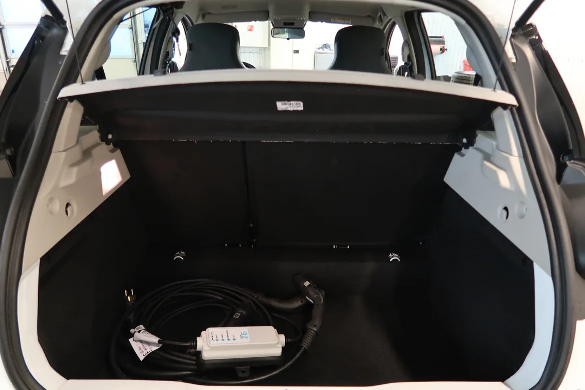 Renault ZOE R110