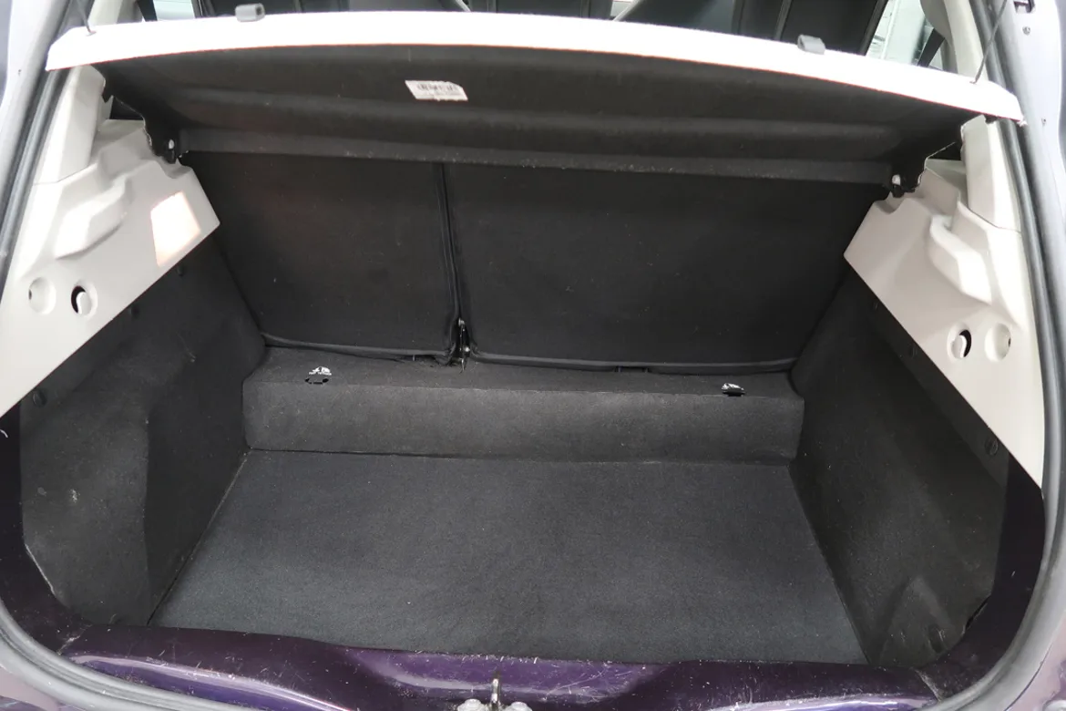 Renault ZOE R110