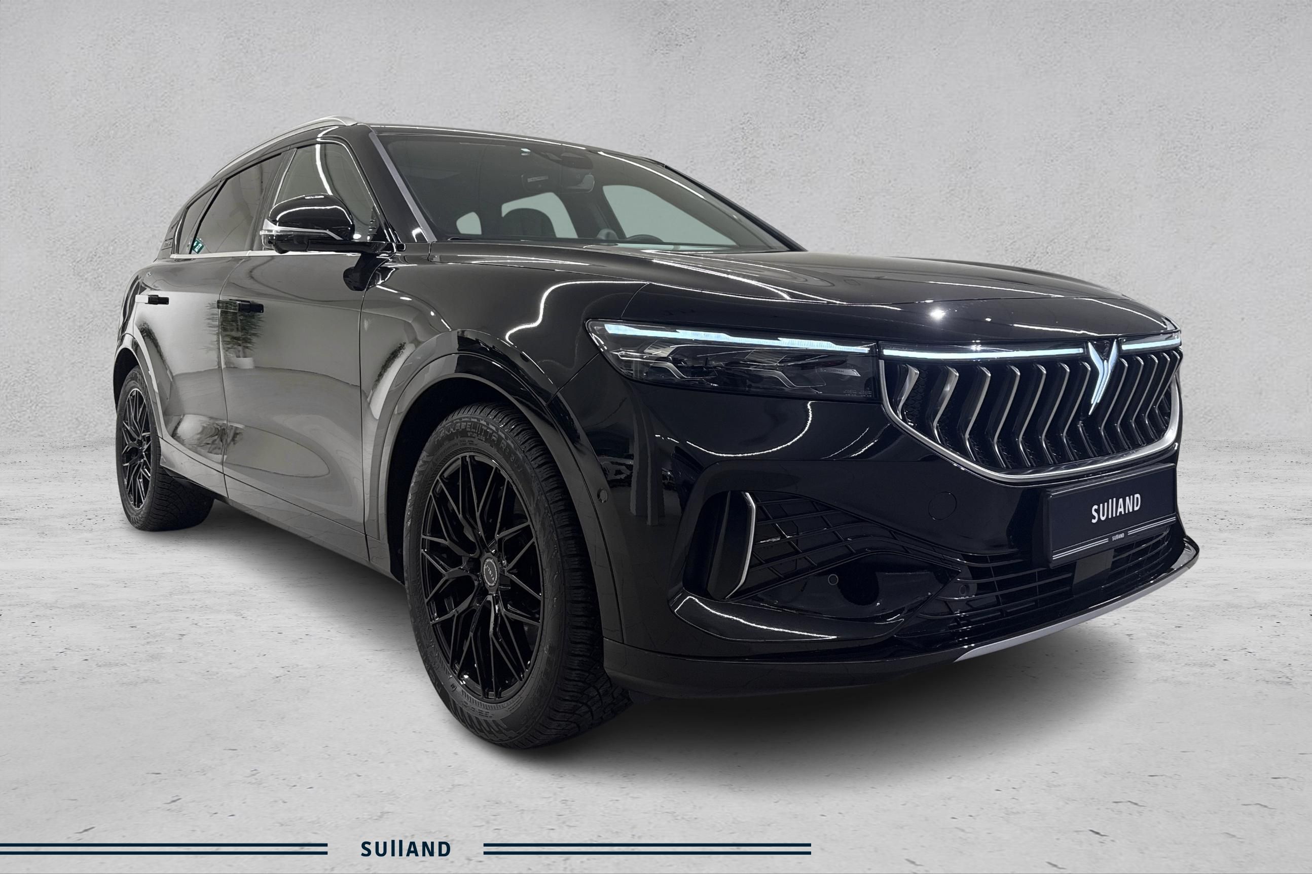 Thumnail bilde 3 av Voyah Free