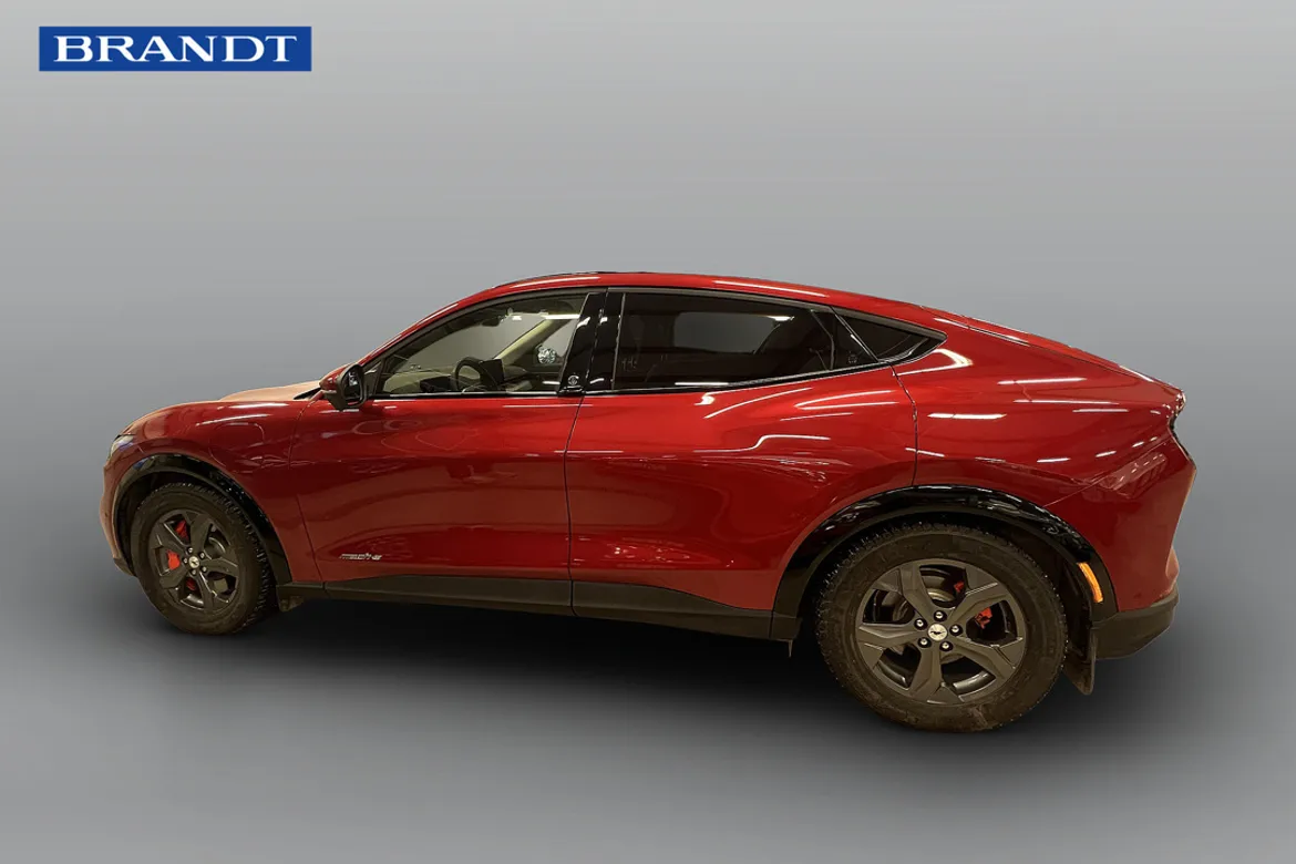Ford Mustang Mach-E Standard Range