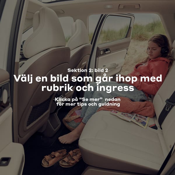 Sektion 2: Rubrik 2 (max 6 ord)
