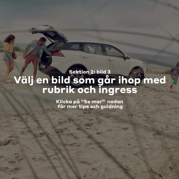 Sektion 2: Rubrik 3 (max 6 ord)