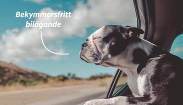 Garantier som gör det gött att köpa begagnad bil