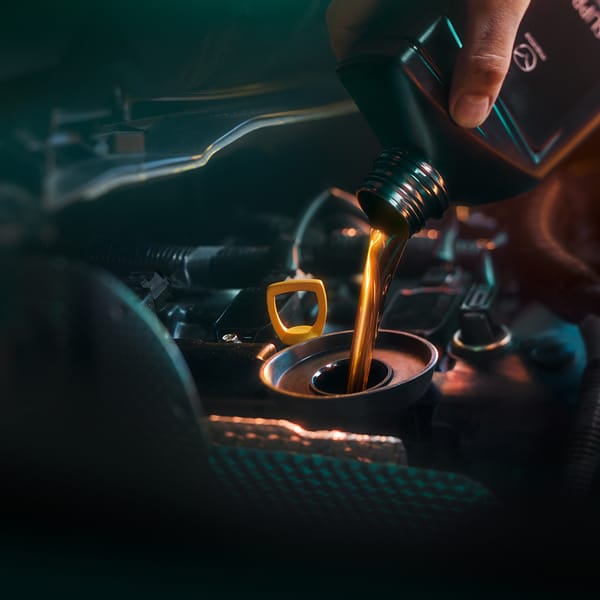 Serviceavtal - Basservice 5+ 