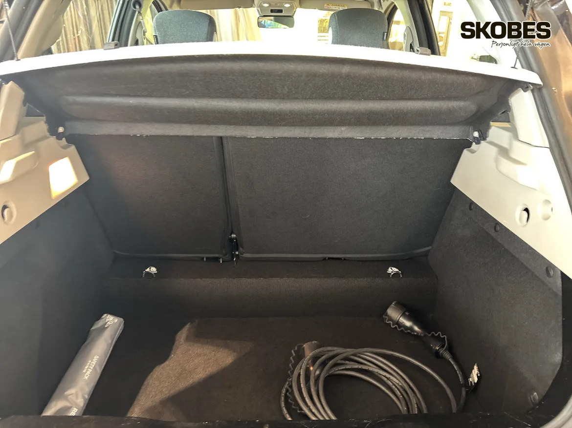 Renault ZOE R110
