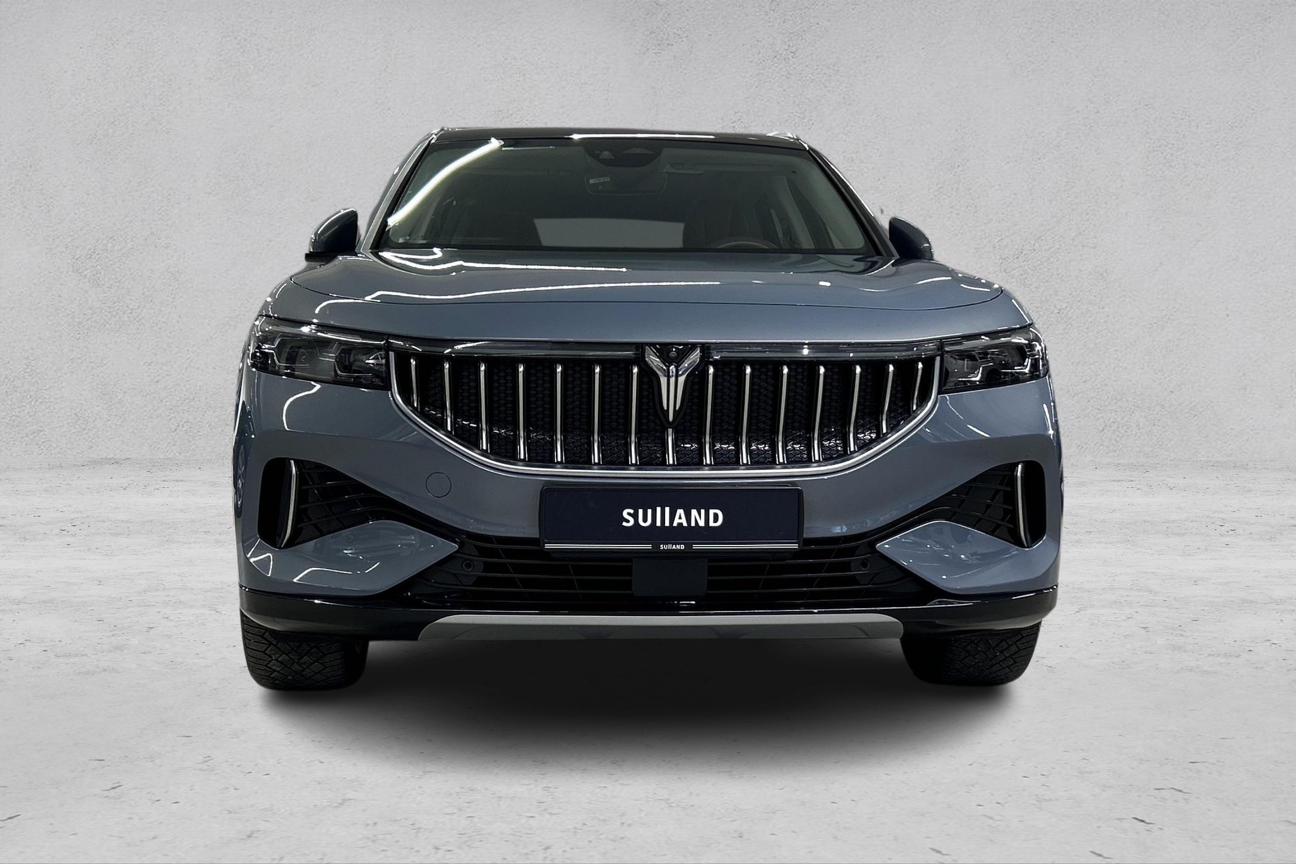 Thumnail bilde 2 av Voyah Free