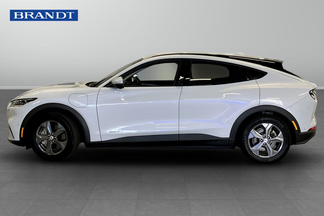 Ford Mustang Mach-E Standard Range