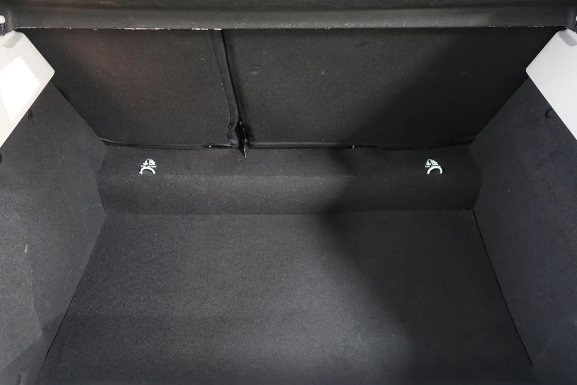 Renault ZOE R110