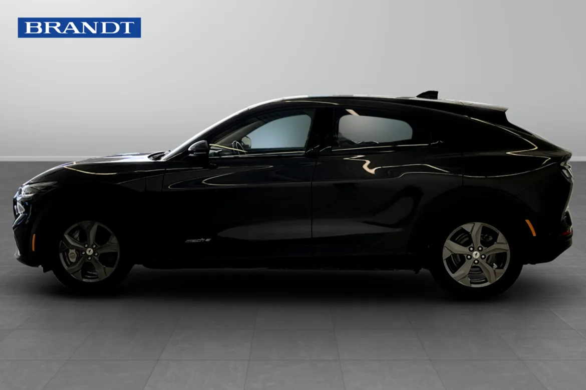 Ford Mustang Mach-E Standard Range