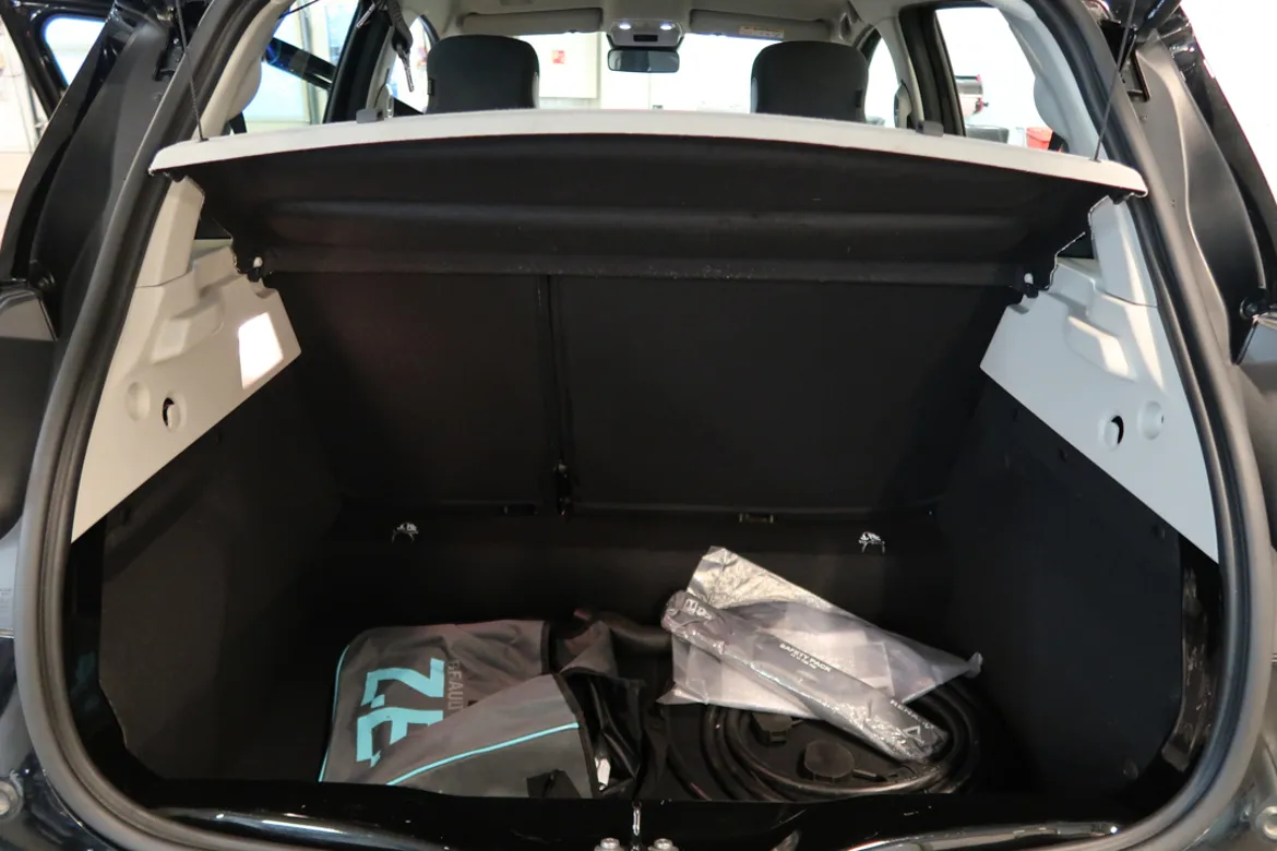 Renault ZOE R110