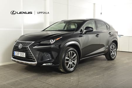 Lexus NX 300h AWD
