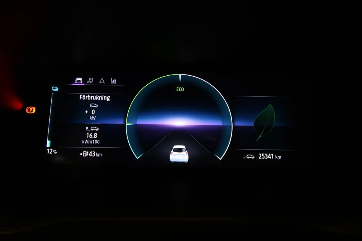 Renault ZOE R110