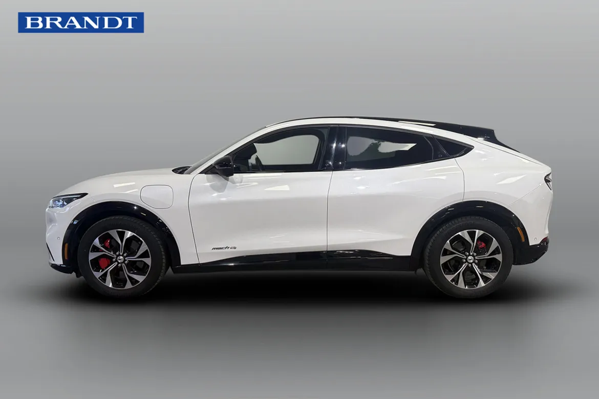 Ford Mustang Mach-E Standard Range AWD