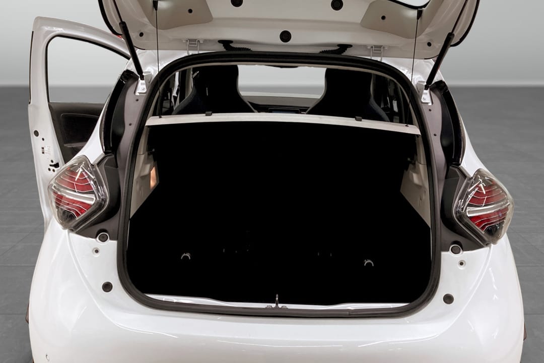 Renault ZOE R110