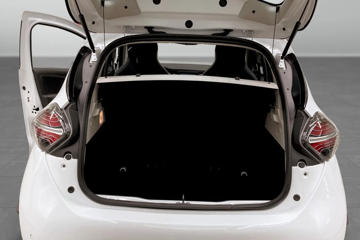 Renault ZOE R110