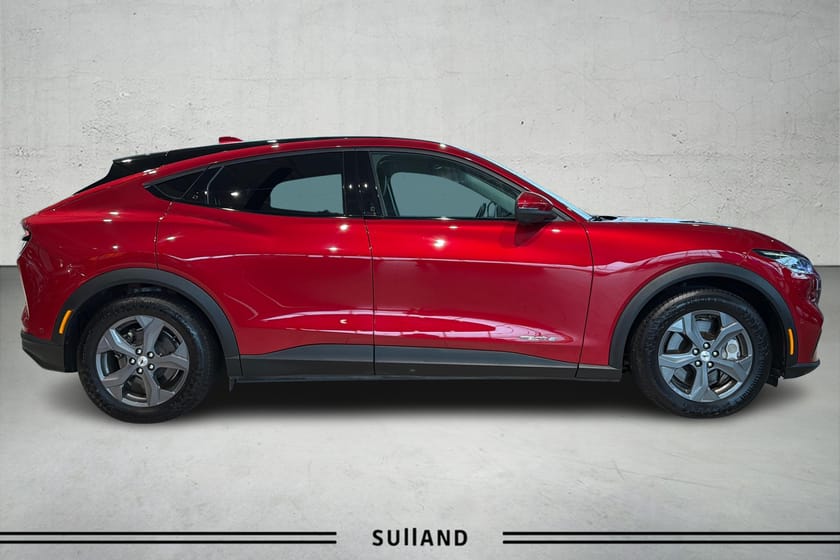 Bilde 4 av Ford Mustang Mach-E Standard Range