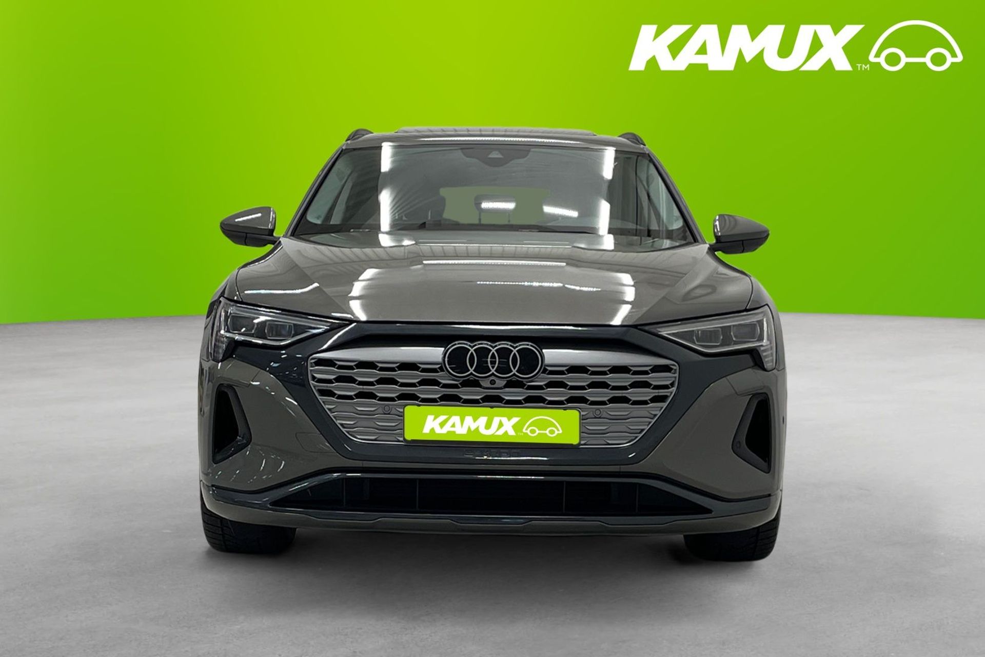 Audi e-tron 55 Proline 2024, photo 6/10
